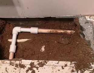 宝鸡市测漏水哪家好