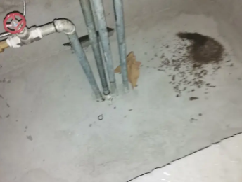 宝鸡市卫生间测漏水价格明细