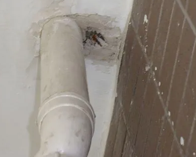 宝鸡市漏水检测哪家好